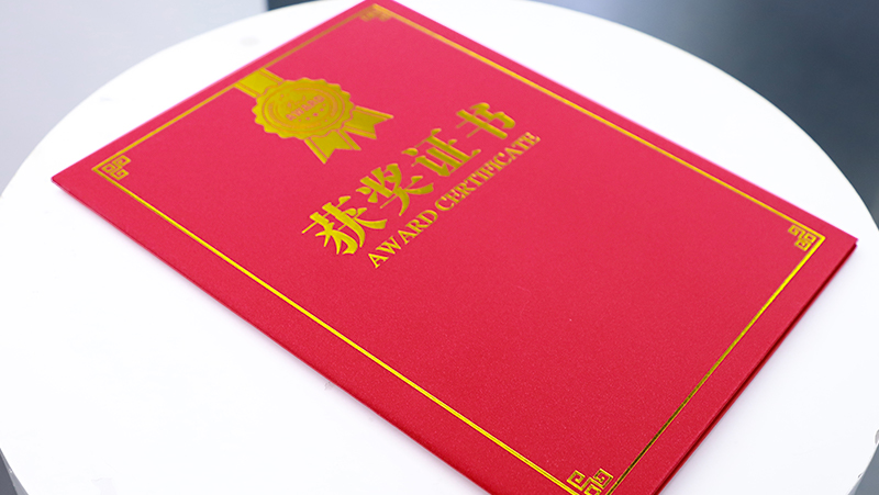 打造机器人3D之眼，亚盈体育中光荣获广东省人工智能产业协会科技进步一等奖